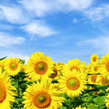 フォトスポット巡り