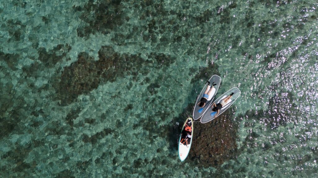 宮古島の海でクリアサップをする女性2人とガイドが水中鑑賞している