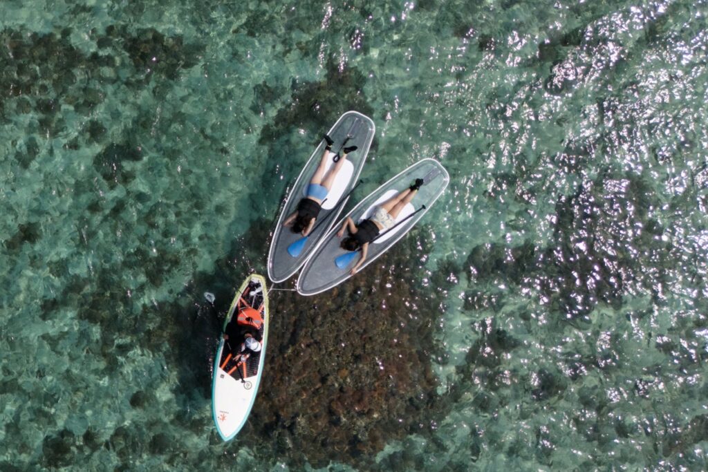 宮古島の海でクリアサップをする女性2人とガイドが水中鑑賞している