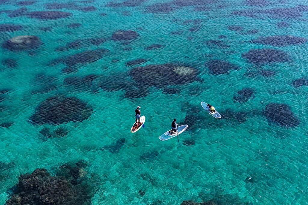 宮古島､クリアサップツアー､うみさんぽ､魚