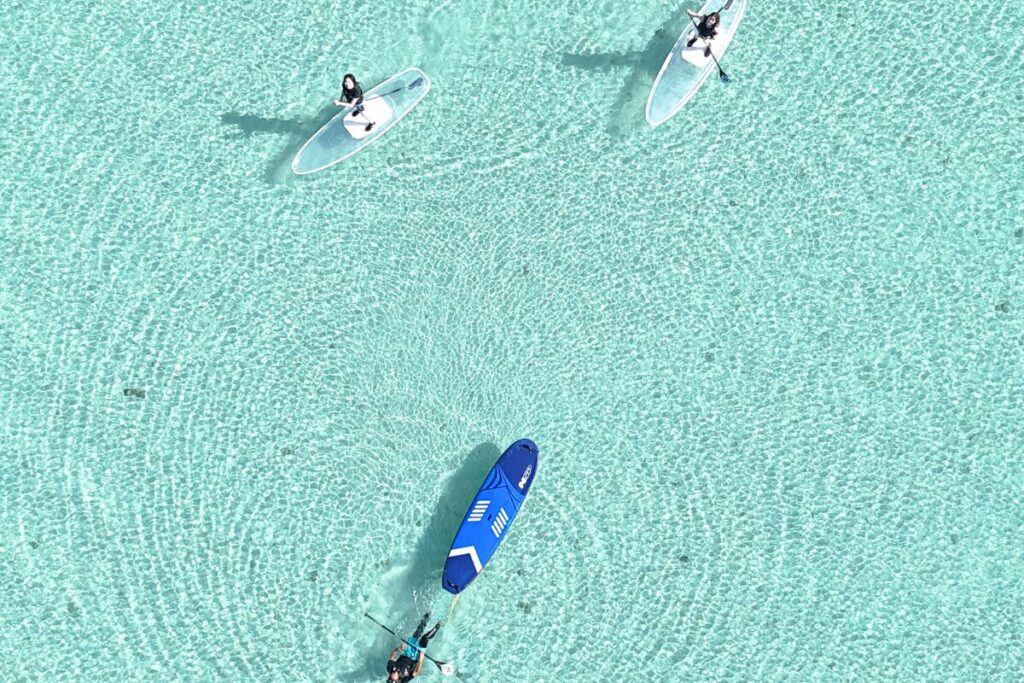 キラッキラの海の上でサップ