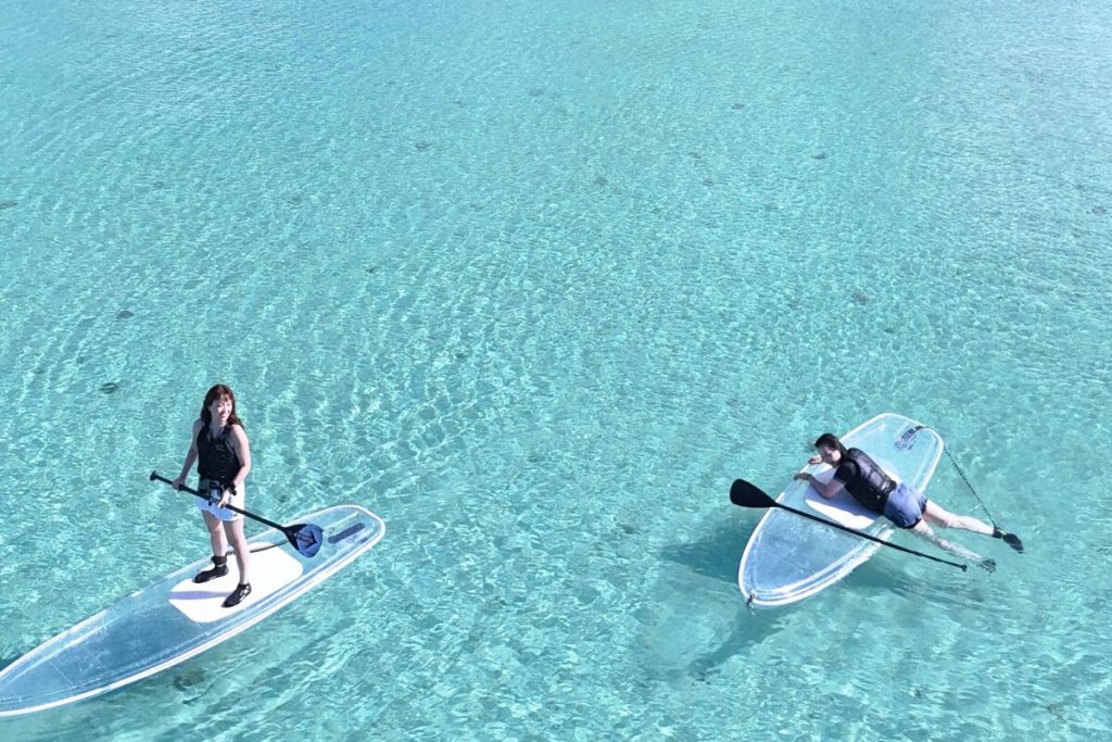 海に落ちたのち這い上がるともちゃん