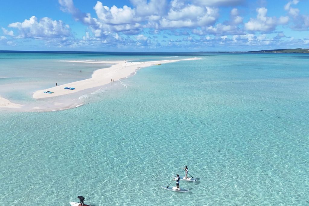 エメラルドブルーに輝く海の上で先に見えるユニを目指してサップを漕ぐふたり