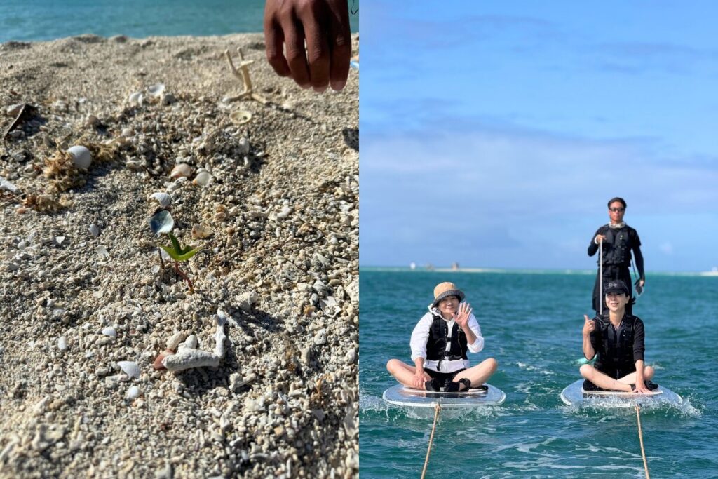 ユニに生えた小さな芽と帰りの牽引時の一枚