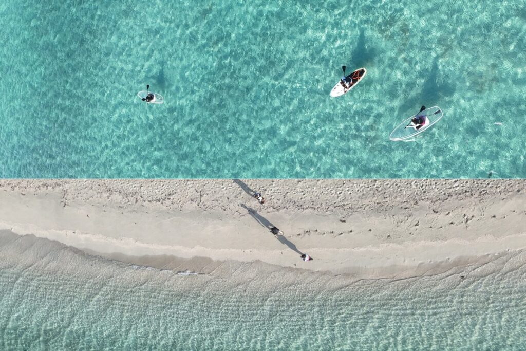 ミヤコブルーの上を漕いでいる写真とユニの波打ち際を歩く写真