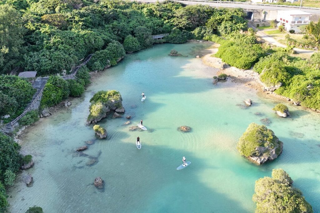海を漕ぎ進める皆さん 西日でできる影が新鮮でとってもきれい