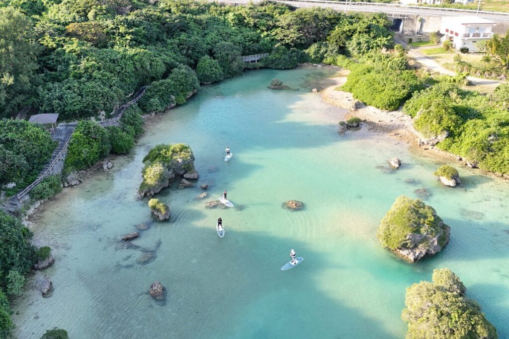 海を漕ぎ進める皆さん 西日でできる影が新鮮でとってもきれい