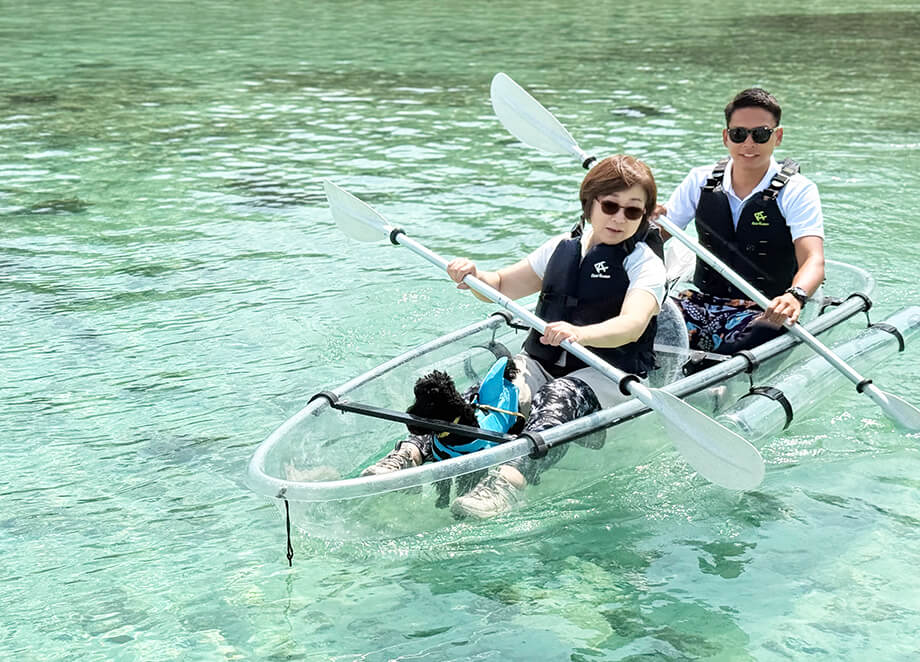 テリコの写真 2