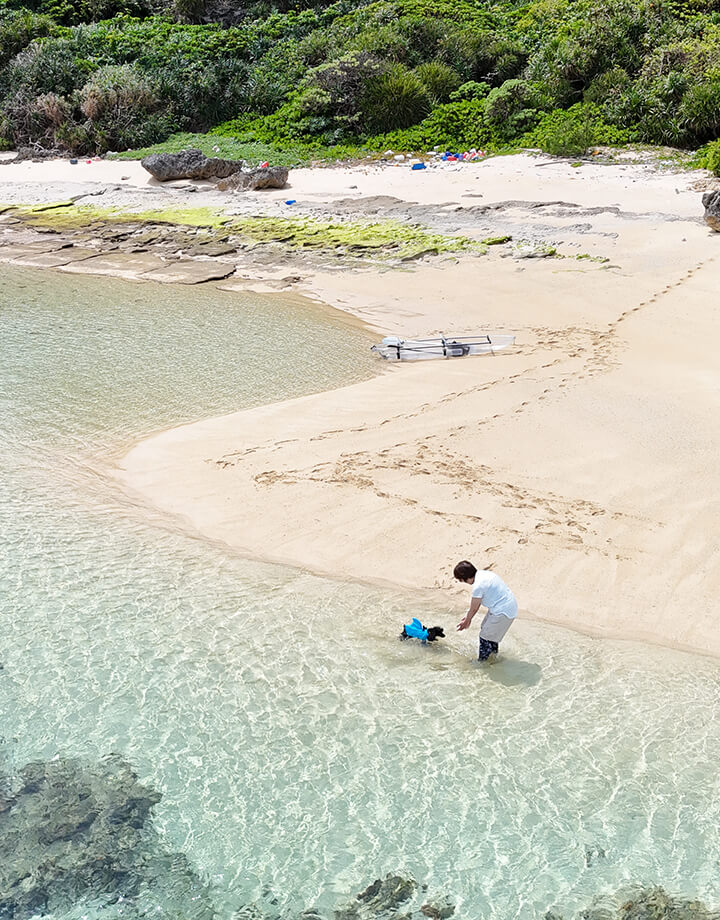 テリコの写真 3