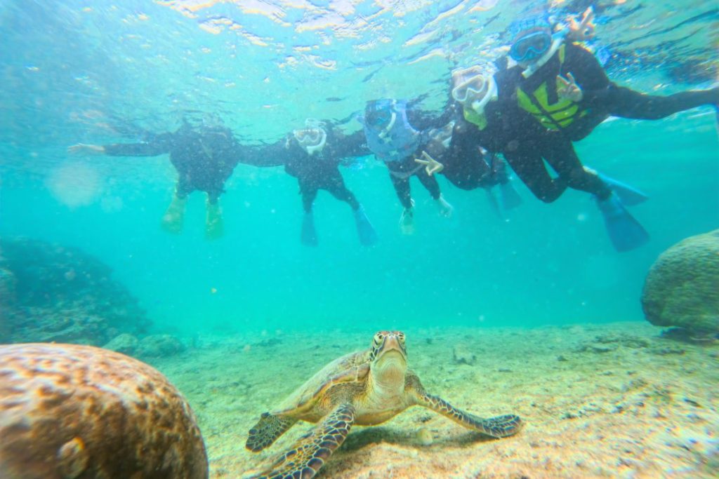 みんなでスクラムを組みながらウミガメと写真