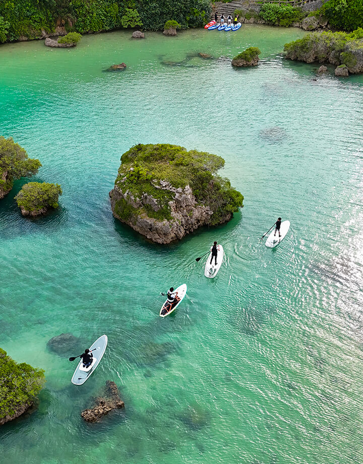 なっちゃんの写真 2