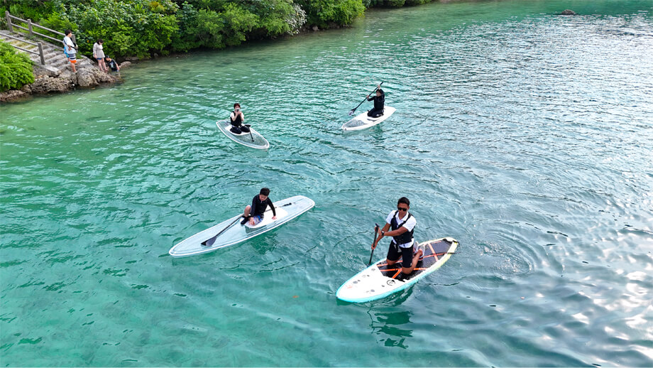 いわさき　はるきの写真 3