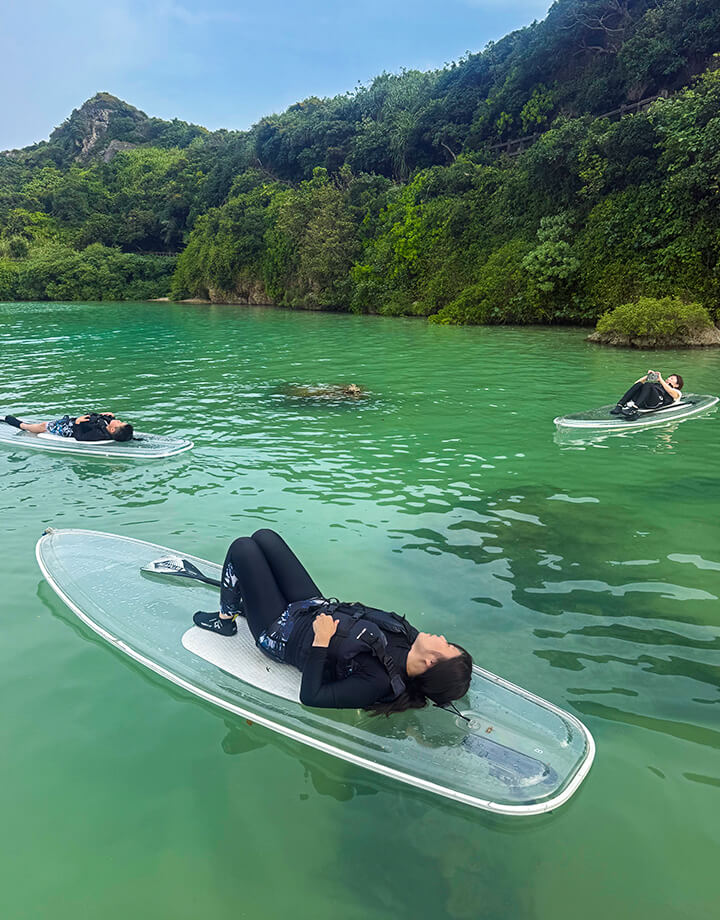 いわさき　はるきの写真 2