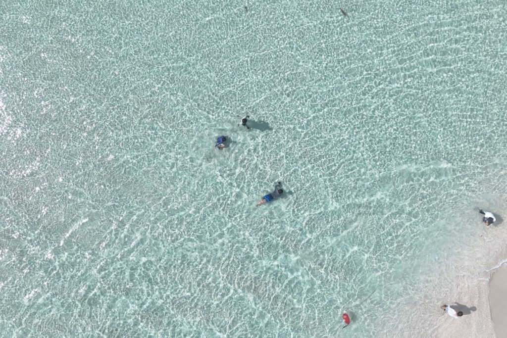 透明度の高い海で泳ぐ子どもたち
キラキラに輝く海は非常に美しい