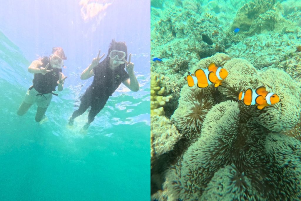 宮古島の透明な海でシュノーケリングを楽しむまあいさん・なつみさん親子と、イソギンチャクに集まるクマノミ